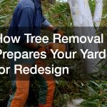 How Tree Removal Prepares Your Yard for Redesign