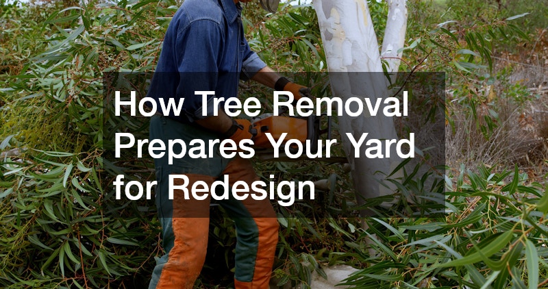 How Tree Removal Prepares Your Yard for Redesign