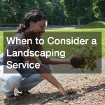 When to Consider a Landscaping Service